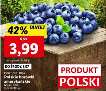 Lidl Polskie borówki amerykańskie 125 g oferta