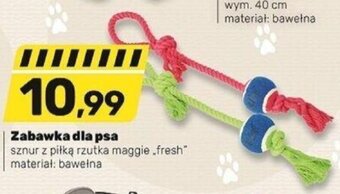 Bricomarche Zabawka dla psa oferta