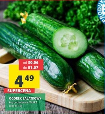 Arhelan OGÓREK SAŁATKOWY 1kg oferta