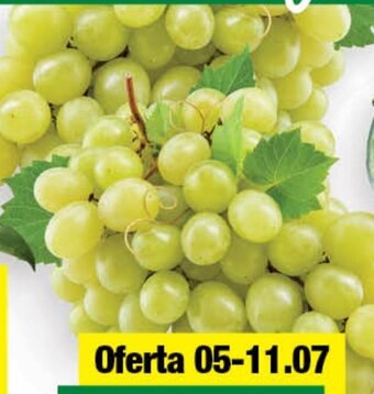 Spar Winogrona oferta