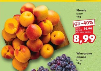 Kaufland Morele luzem 1 kg oferta
