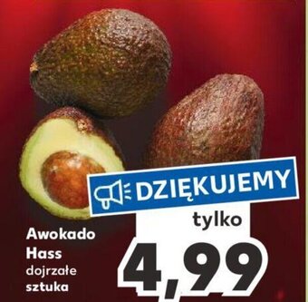 Kaufland Awokado Hass dojrzałe sztuka oferta