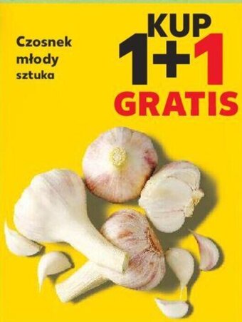 Kaufland Czosnek młody sztuka oferta