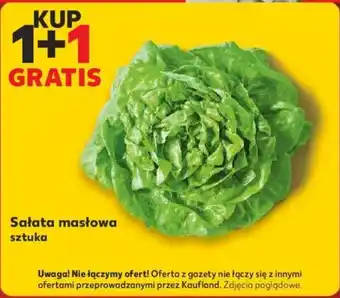 Kaufland Sałata masłowa sztuka oferta