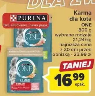 Carrefour Karma dla kota indoor purina one oferta