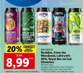 Lidl Piwo nepo buddies mango & passion fruit sour oferta