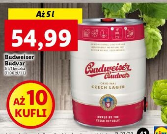 Lidl Piwo b: original budweiser budvar oferta