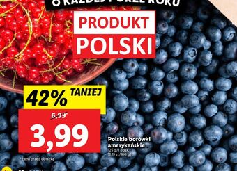 Lidl Borówka amerykańska 125g oferta