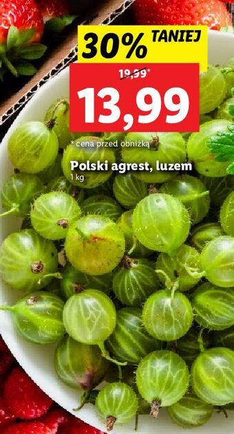 Lidl Agrest oferta
