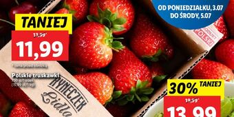 Lidl Truskawki oferta