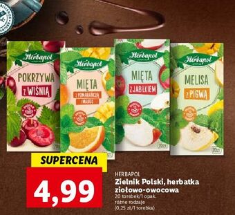 Lidl Herbata pokrzywa z wiśnią herbapol oferta