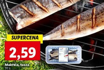 Lidl Makrela tusza oferta
