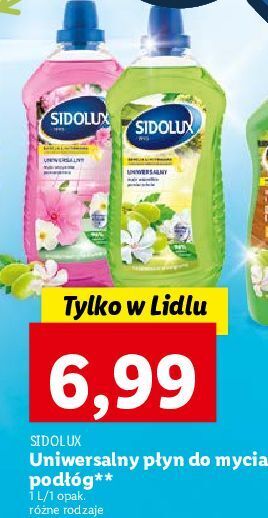 Lidl Płyn uniwersalny kwiat śliwy japońskiej z ylang sidolux oferta