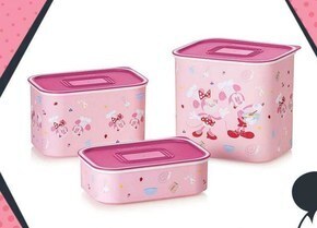 Tupperware Zestaw pojemników tupperware oferta