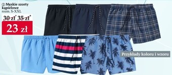 Woolworth Szorty męskie oferta