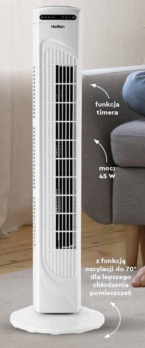 Biedronka Wentylator hoffen oferta