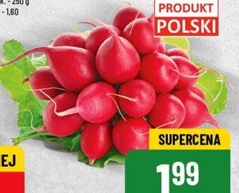 Polomarket Rzodkiewki oferta