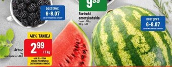 Polomarket Arbuz 1 kg oferta