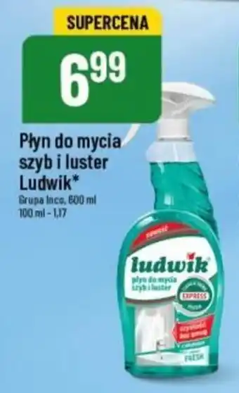 Polomarket Płyn do mycia Ludwik 600 ml oferta