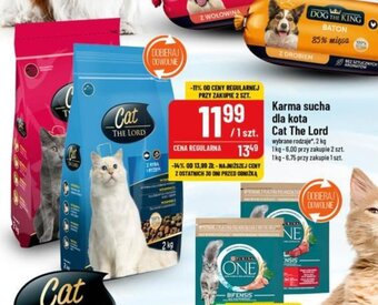 Polomarket Karma sucha dla kota Cat The Lord 2 kg oferta