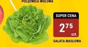 bi1 SALATA MASLOWA 1 szt. oferta