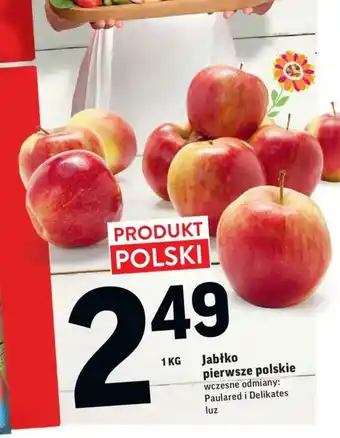 Intermarche Jabłko pierwsze polskie 1kg oferta