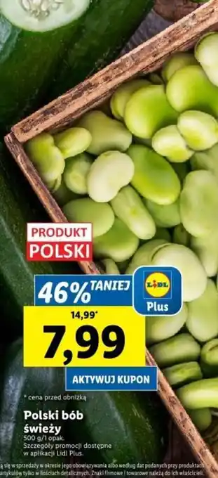 Lidl Polski bób świeży 500g oferta