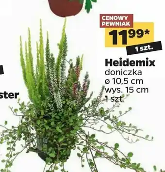 Netto Heidemix don. 10.5 cm 1 SZT oferta