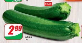 Dino Cukinia 1 kg oferta