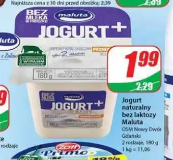 Dino Jogurt naturalny bez laktozy Maluta 180 g oferta