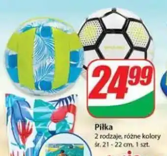 Dino Piłka oferta