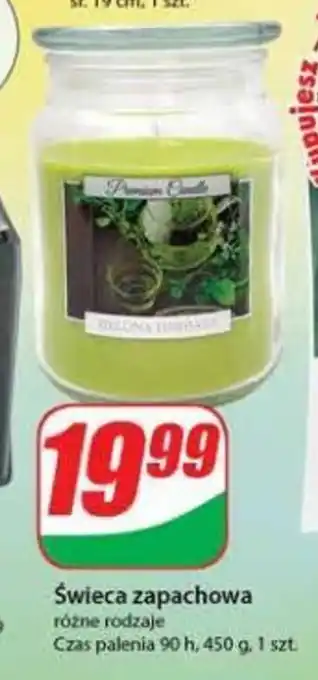 Dino Świeca zapachowa 450 g oferta
