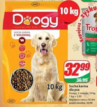 Dino Sucha karma dla psa 10 kg oferta