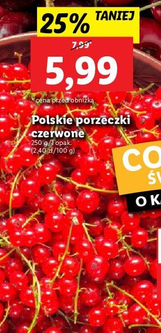 Lidl Porzeczka czerwona oferta