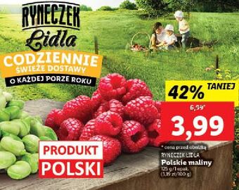 Lidl Maliny ryneczek lidla oferta