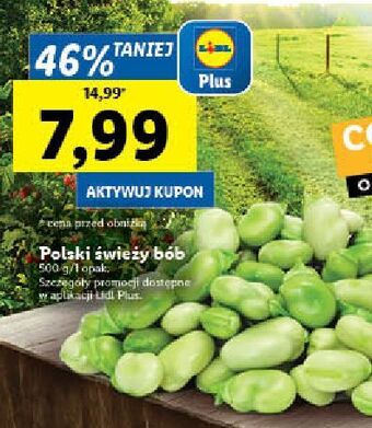 Lidl Bób oferta