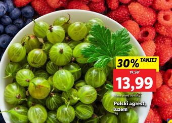 Lidl Agrest oferta