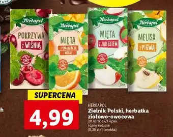 Lidl Herbata mięta z pomarańczą i mango herbapol oferta