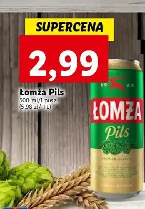Lidl Piwo łomża pils oferta