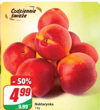 Dino Nektarynki oferta