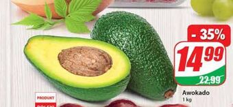 Dino Awokado oferta