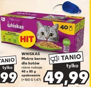 Kaufland Potrawka w galaretce z kurczakiem whiskas oferta