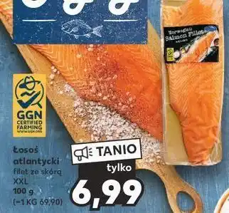 Kaufland Łosoś atlantycki oferta