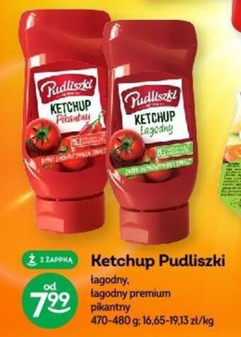 Żabka Ketchup Pudliszki 470-480 g oferta