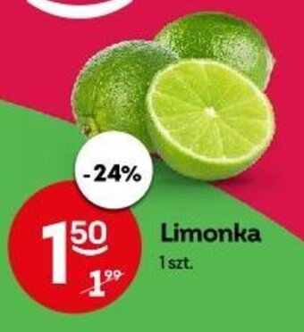 Żabka Limonka 1 szt. oferta