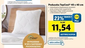 Lidl Poduszka oferta