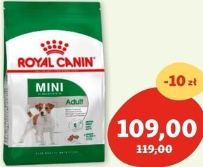 Maxi Zoo Karma dla psa royal canin oferta