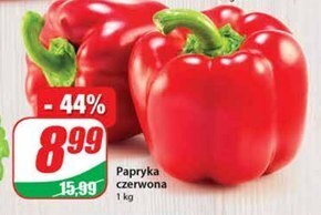 Dino Papryka oferta