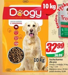 Dino Karma dla psa doogy oferta