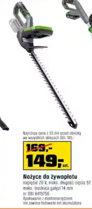 OBI Nożyce do żywołpłotu oferta
